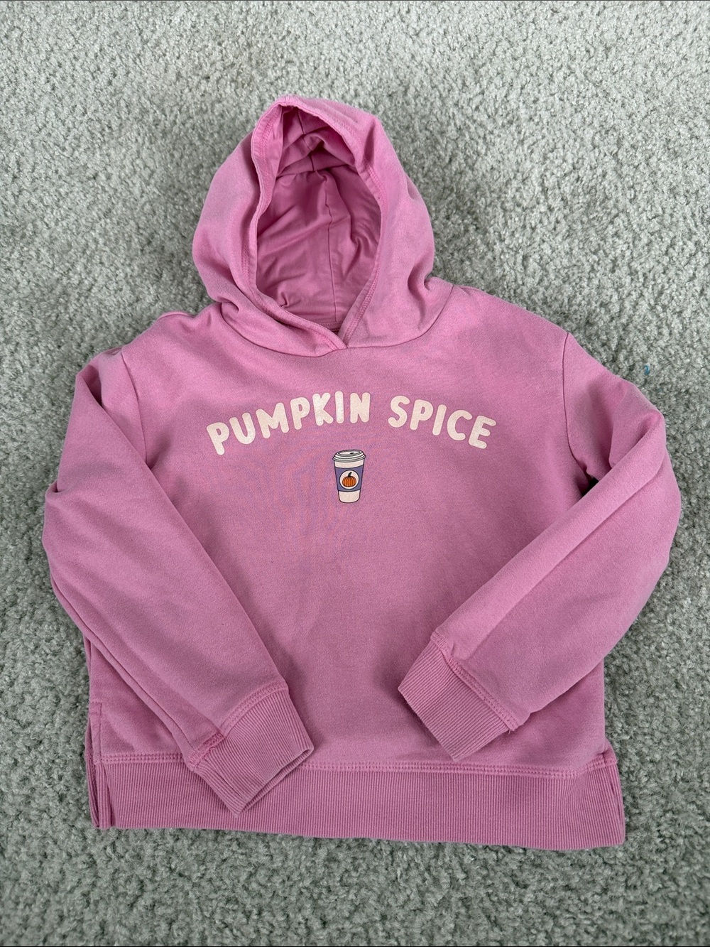 Kids Pink "Pumpkin Spice" Hoodie Sweatshirt